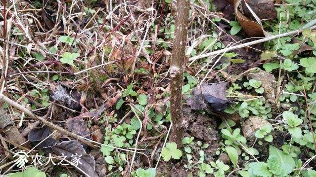 20180225_121231_resized.jpg
