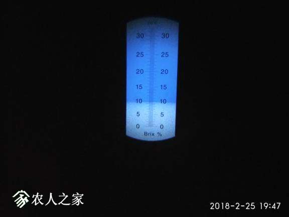 杨桃三个品种的糖度2018.2.24