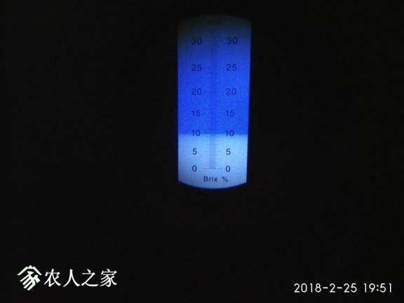 杨桃三个品种的糖度2018.2.24