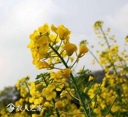 083814snx8cdyhehgy88ro.jpg