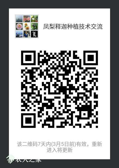 125141osr44r8q8388resw.png