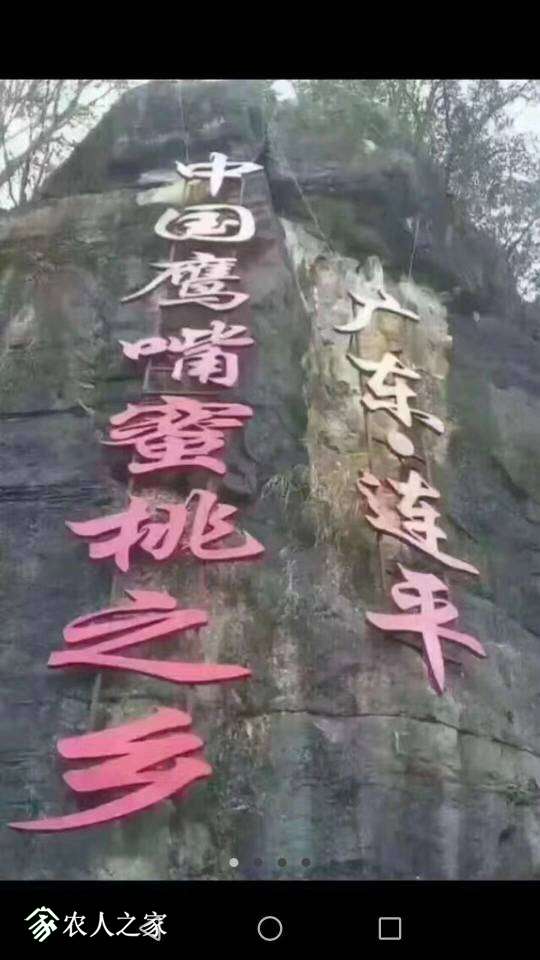 150404iw0nzu4fjv0ejdvw.jpg