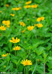 062724d0xf510xths9fxz8.jpg