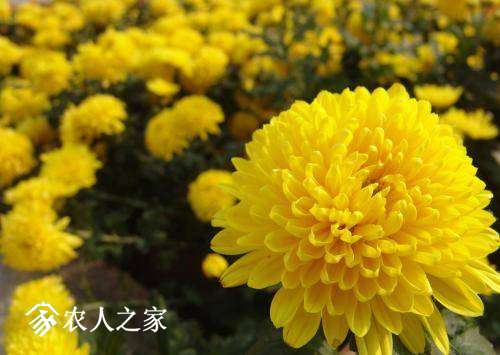 072611bbbsajsbjnp32888.jpg