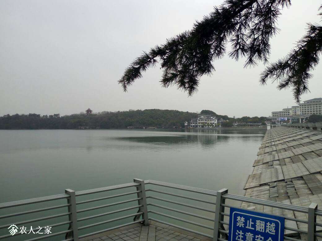 112434ozm7axjc773ma33w.jpg