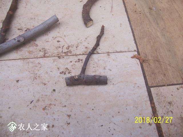 100_3186.JPG