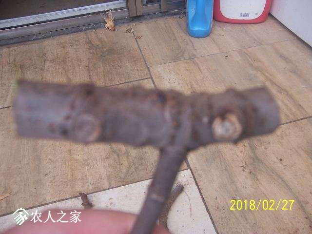 100_3187.JPG