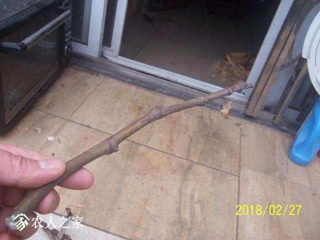 100_3192.JPG