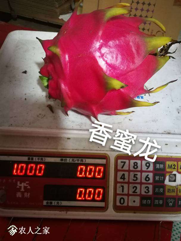 213224b1assfsqssxasqdu.jpg