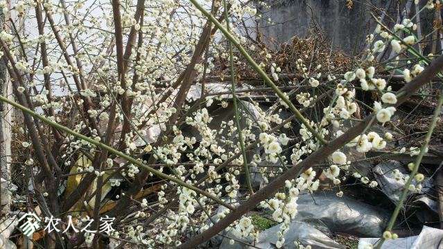 20180216_140316_resized.jpg