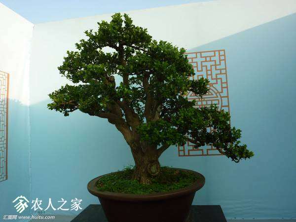 082835znd44474dk4cytk2.jpg