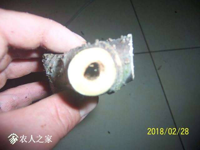 100_3218.JPG