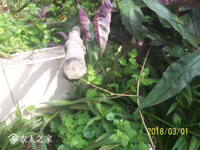 100_3224.JPG