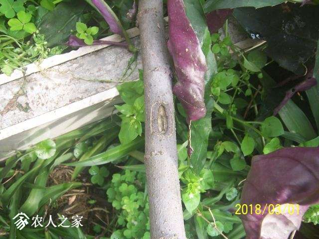 100_3225.JPG