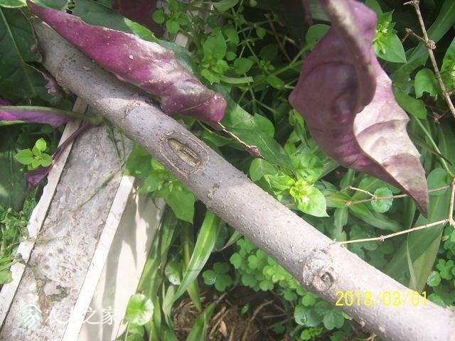 100_3226.JPG