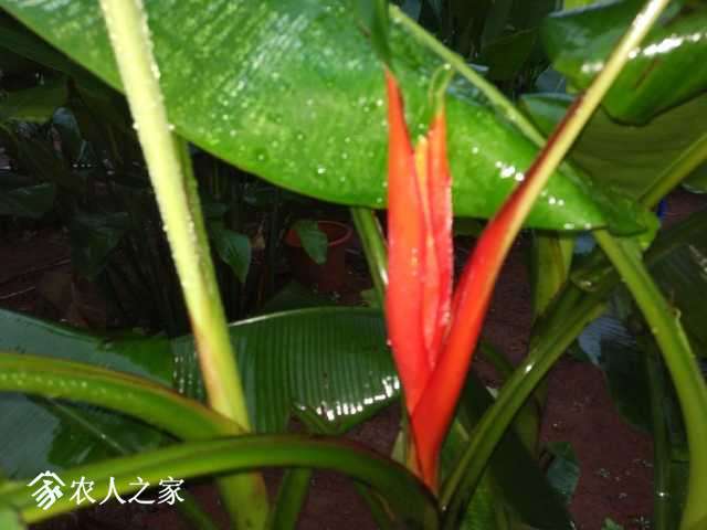 IMG_20180129_073927.jpg