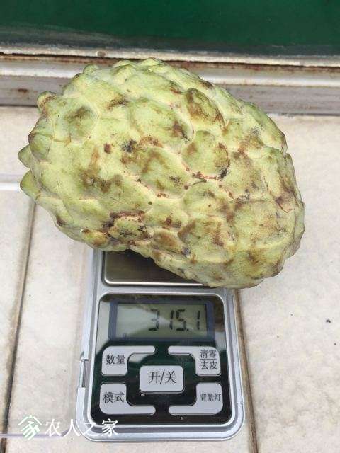 02.jpg