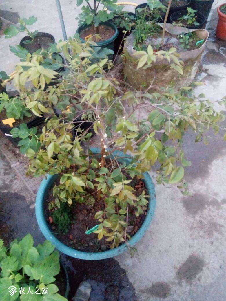 142401zp0jqq25b27qqbqw.jpg