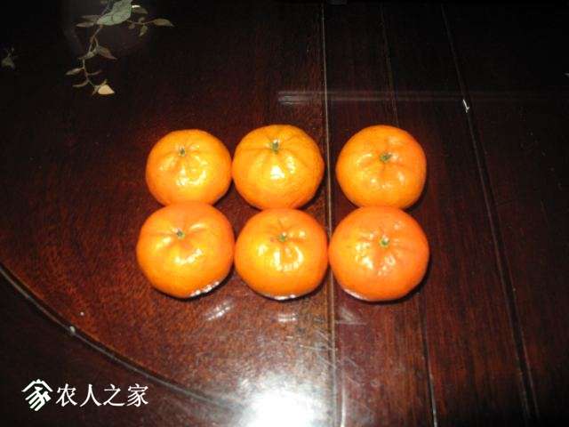 IMG_8984.jpg