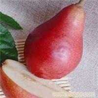 u=1871502077,2711107944&amp;fm=15&amp;gp=0.jpg