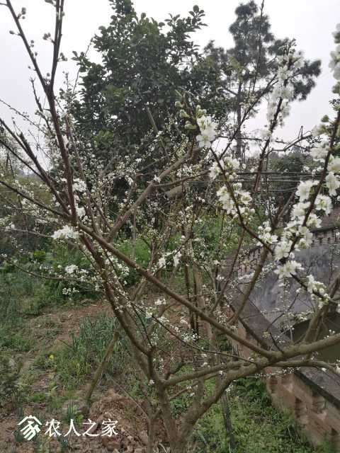 IMG_20180304_130732.jpg