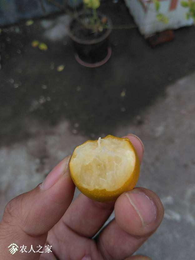 153324tjj32xzd0s0tdt2v.jpg