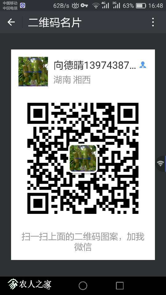 184518yxllxzajp61txdf3.png