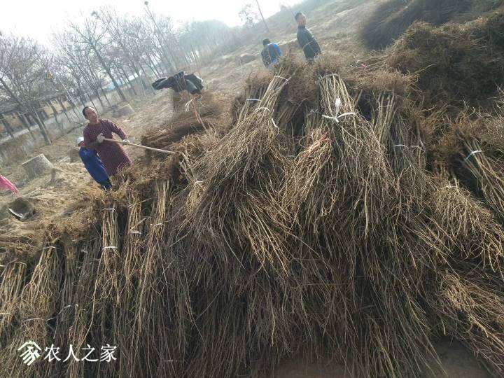 194907m4g4kru6n6fuu8e8.jpg
