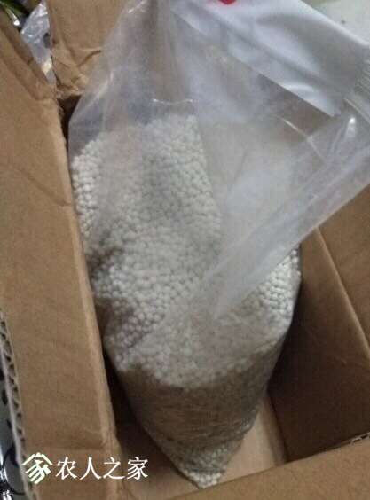 火龙果用什么肥料好?