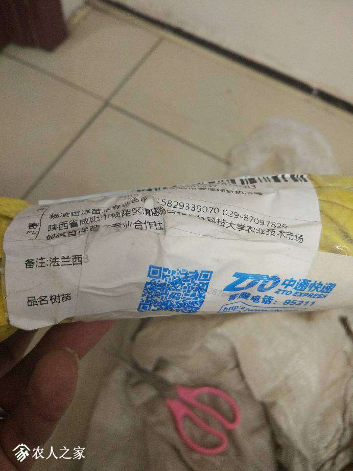 144316a9gz96ngngg2ghee.jpg