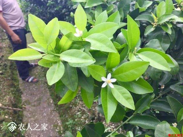 2017041509174089.jpg