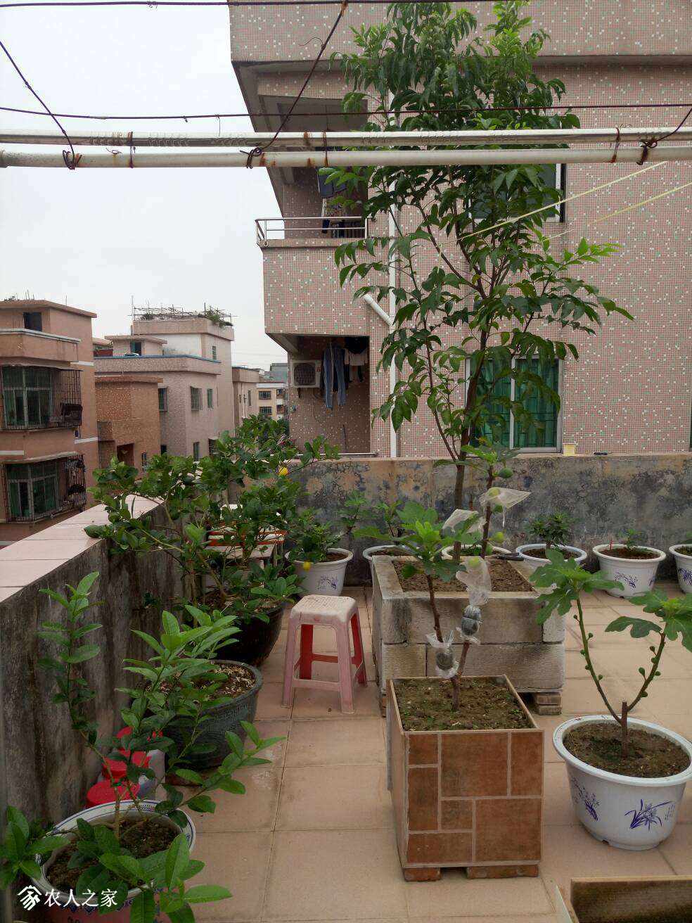 133145uh242vnd54ha44nh.jpg