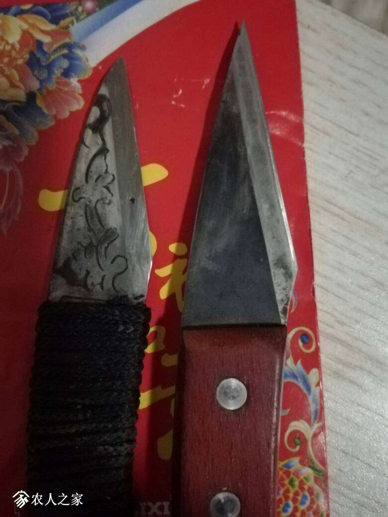 195115xmwmmxxzk8wmgu1w.jpg