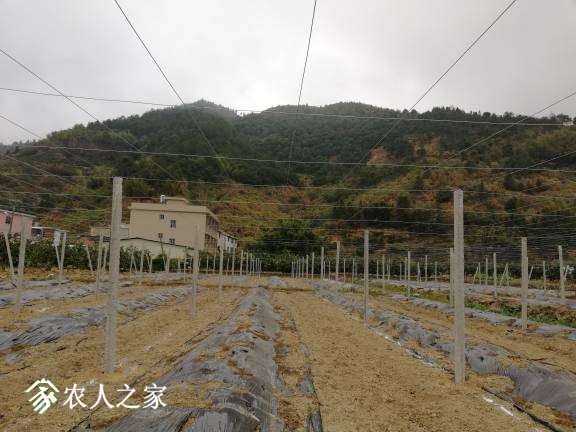 082814fdqqauq808dzuudu.jpg