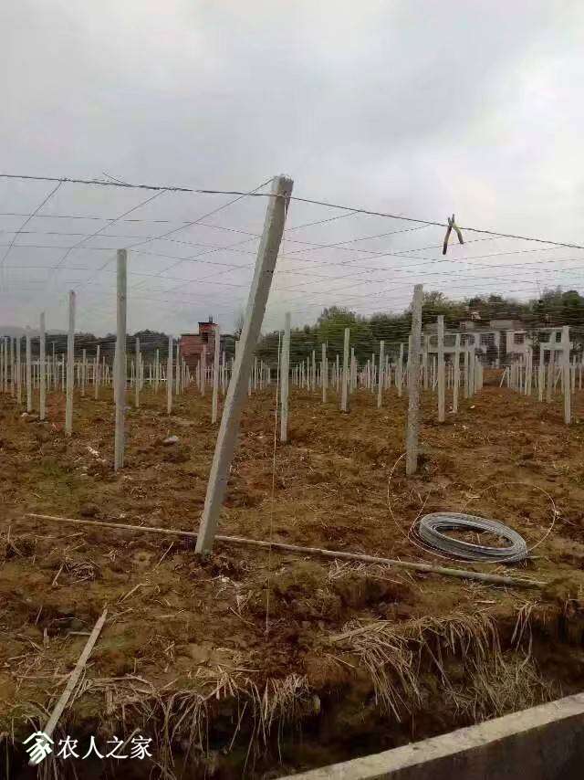 082814nauujcpanrpffoo1.jpeg