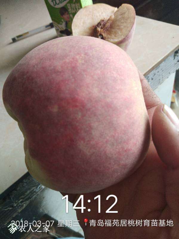 163011qs5820am8yr885is.jpg
