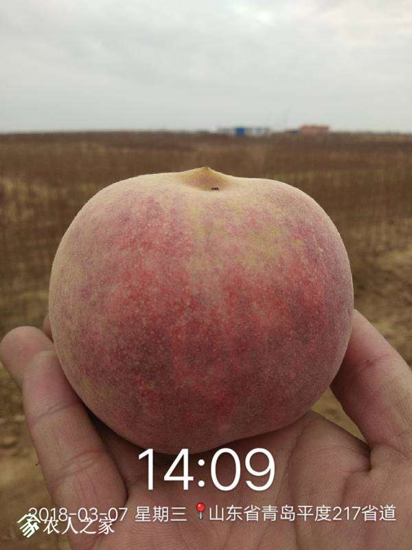 163013jrz0fj0jrjf0j3ff.jpg