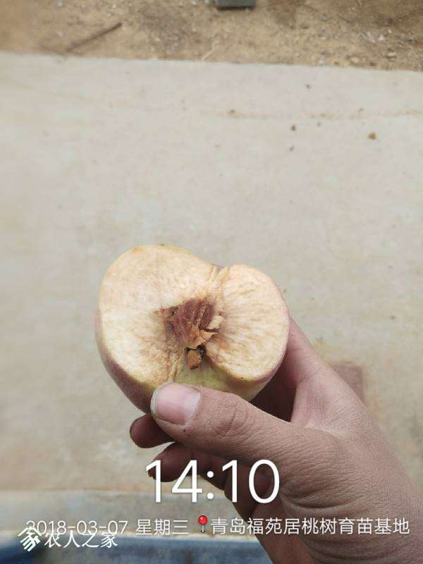 163013yijniaimkpo4ripr.jpg