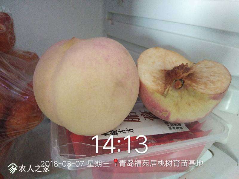 163014g8elzwe1wol19kck.jpg