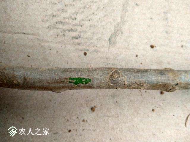 ΢ͼƬ_20180304172843.jpg
