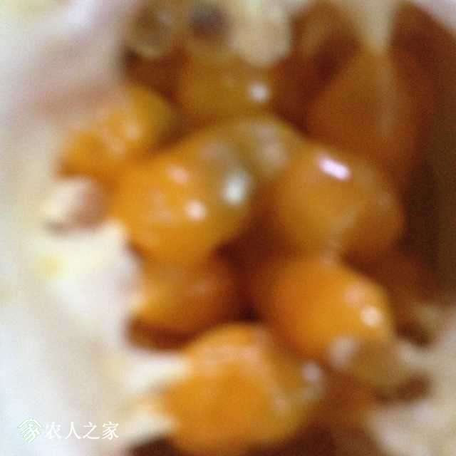 image.jpeg