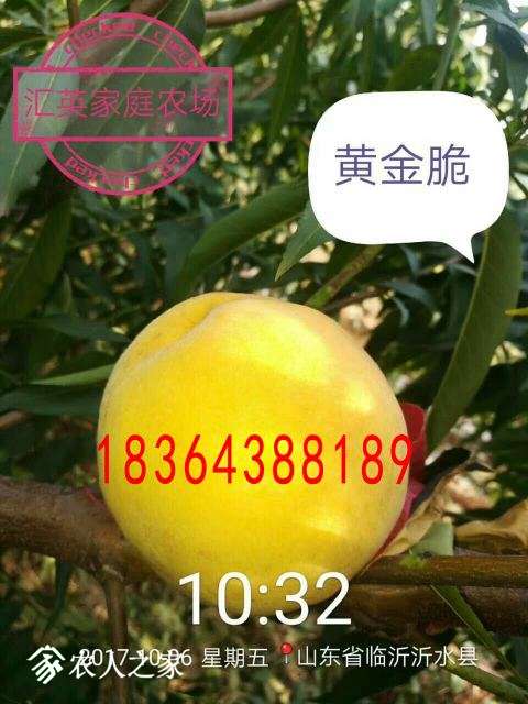 mmexport1520520337654.jpg