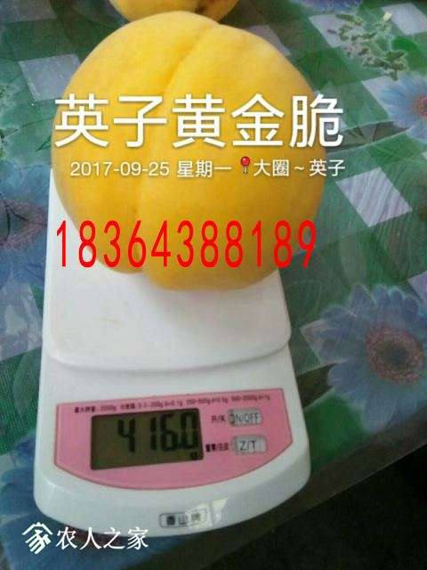 mmexport1520520373876.jpg