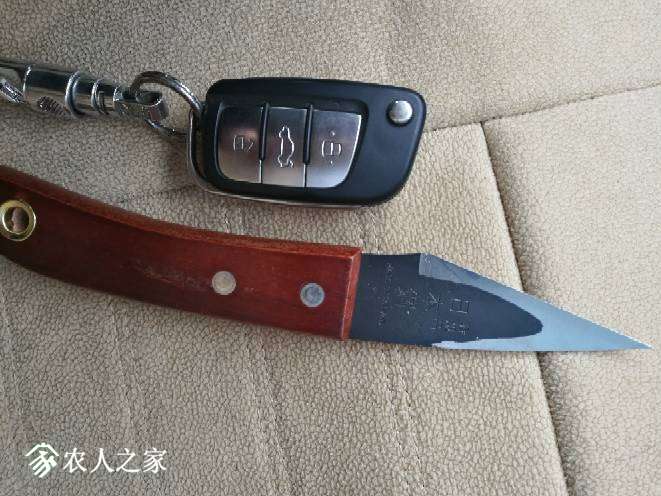 162659ywok2oroxllkxr9o.jpg