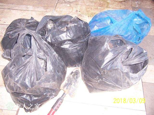 100_3300.JPG