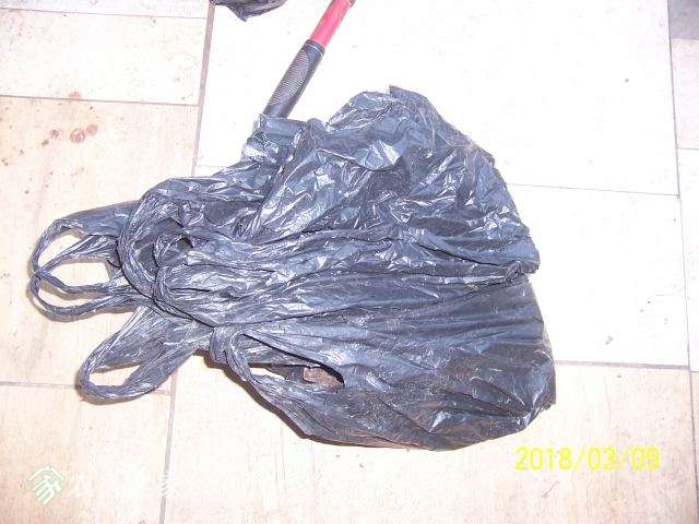 100_3301.JPG