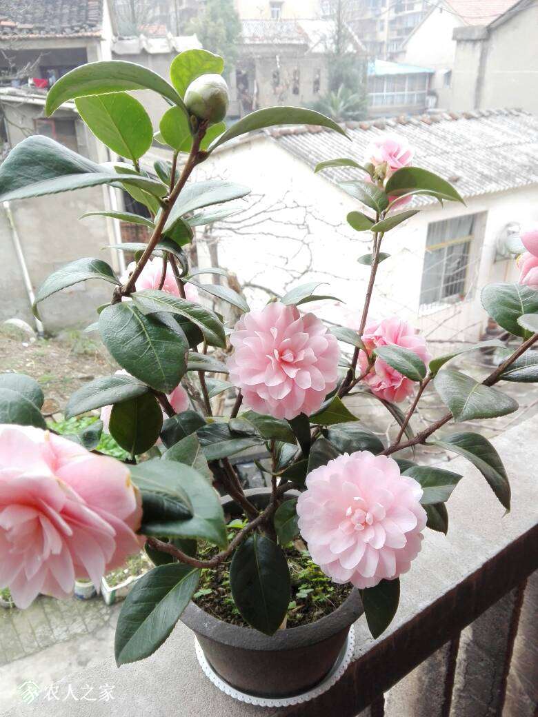 213705ywqwrztbao9mdbry.jpg