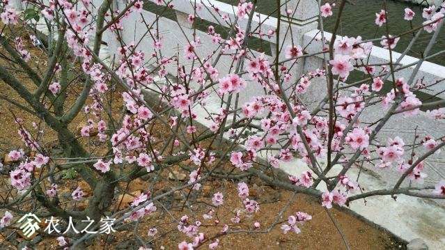 20180305_150725_resized.jpg