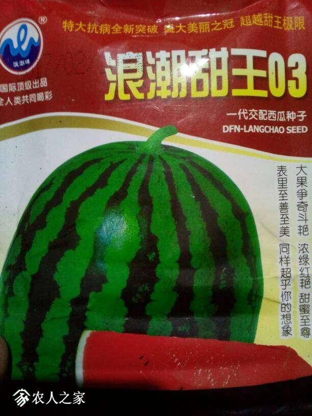 060730yuujopprxr8hfhlj.jpg