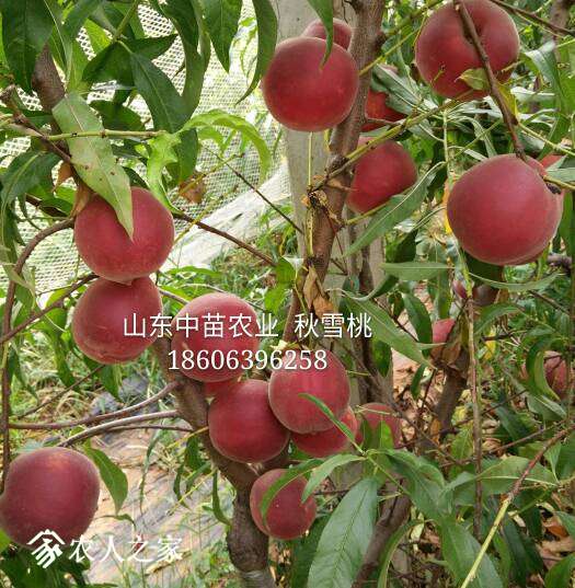 185804gpbej8mobbcqb6u6.jpg